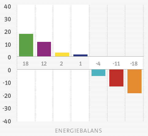 Profile Dynamics Energiebalans grafiek