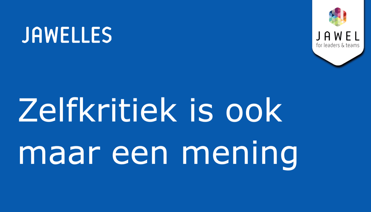 Zelfkritiek is ook maar een mening