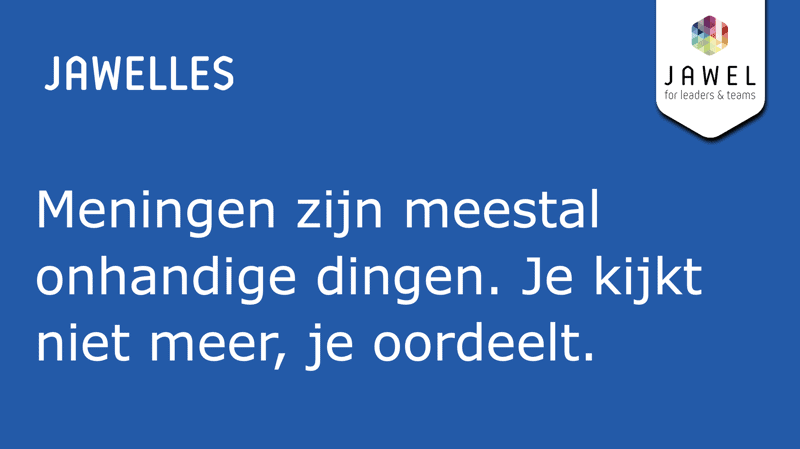 Meningen zijn meestal onhandige dingen