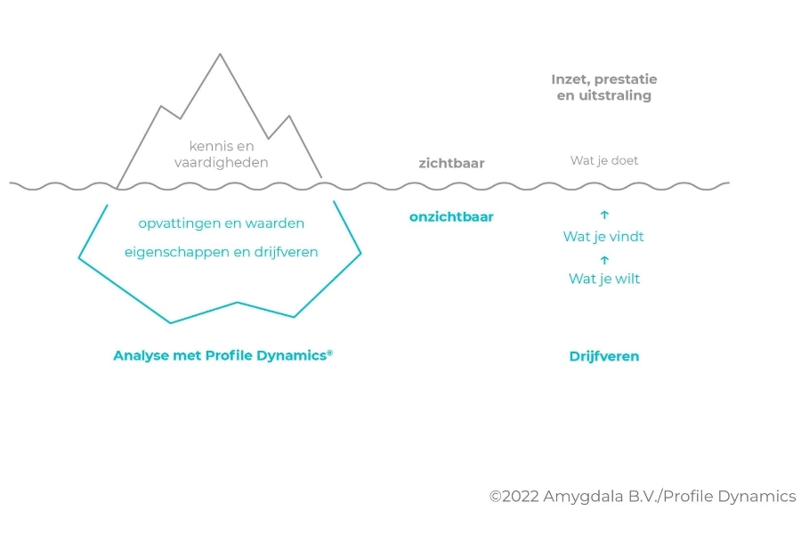 Profile Dynamics IJsberg
